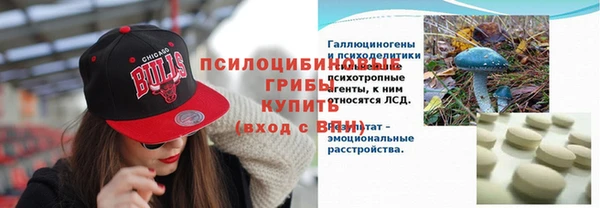 амф Дмитровск