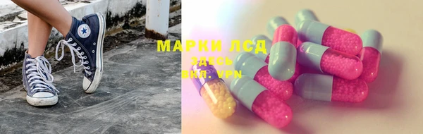 гидропоника Гусев