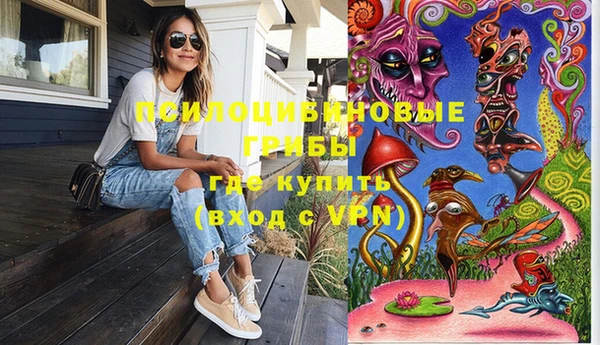 винт Гусь-Хрустальный