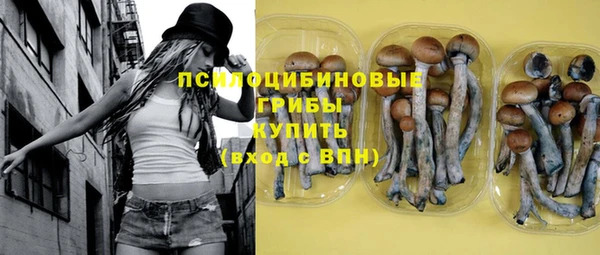 винт Гусь-Хрустальный