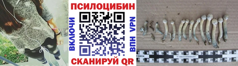 продажа наркотиков blacksprut ONION Псилоцибиновые грибы ЛСД Нефтеюганск